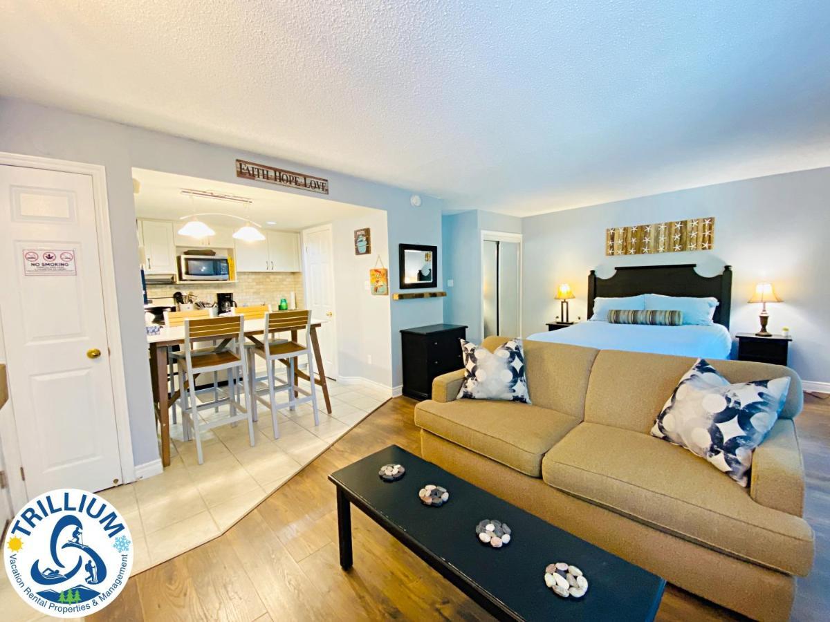 Slopeside Blue Mountain Condo - Wifi, Linens/Towels, Ski In/Out Montanhas Azuis Exterior foto
