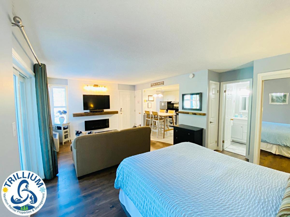 Slopeside Blue Mountain Condo - Wifi, Linens/Towels, Ski In/Out Montanhas Azuis Exterior foto