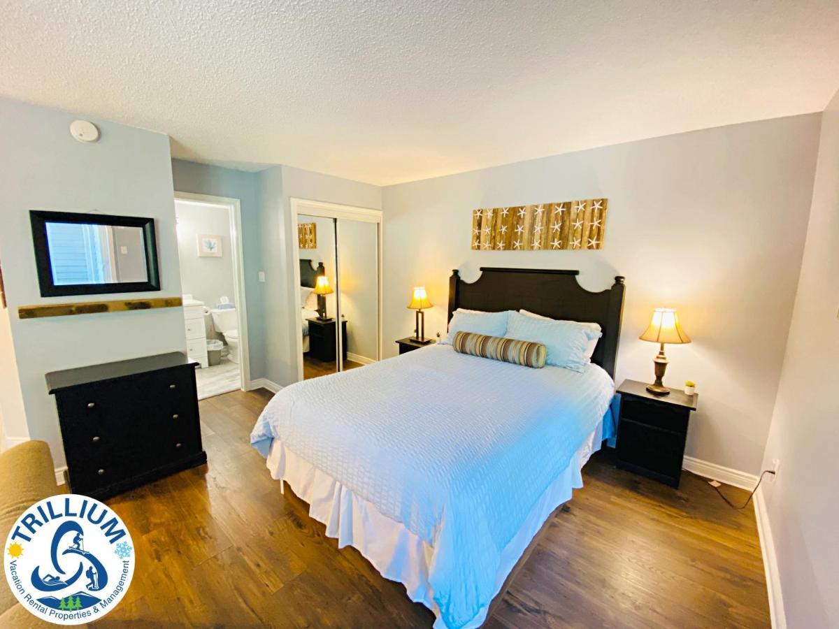 Slopeside Blue Mountain Condo - Wifi, Linens/Towels, Ski In/Out Montanhas Azuis Exterior foto