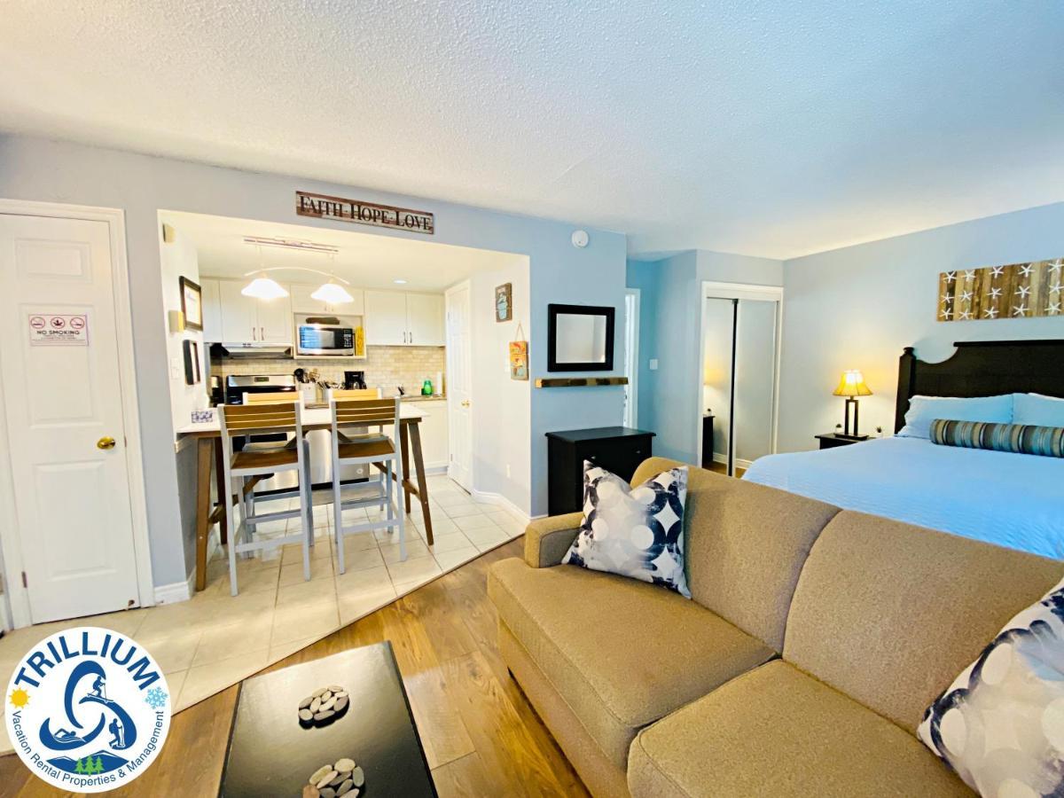Slopeside Blue Mountain Condo - Wifi, Linens/Towels, Ski In/Out Montanhas Azuis Exterior foto